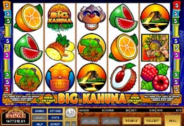 Big Kahuna Slot